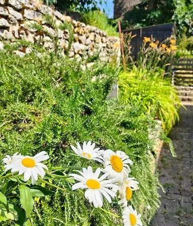 Maison Familiale : Charme & Nature