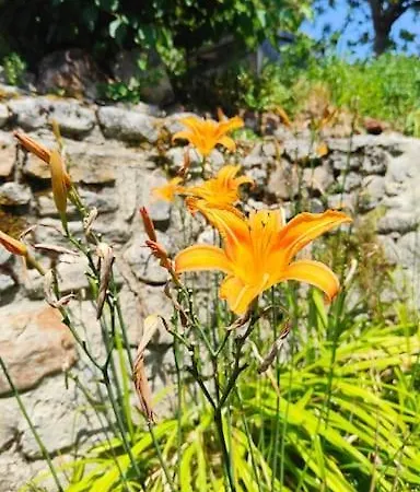 Maison Familiale : Charme & Nature סנליס