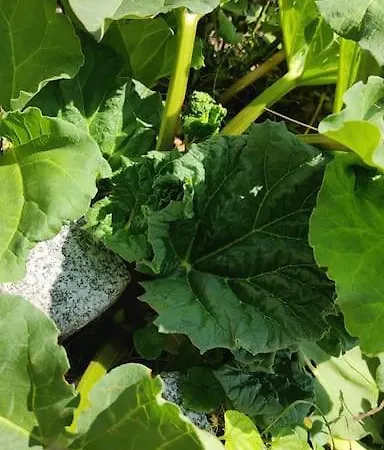 Holiday home Maison Familiale : Charme & Nature *