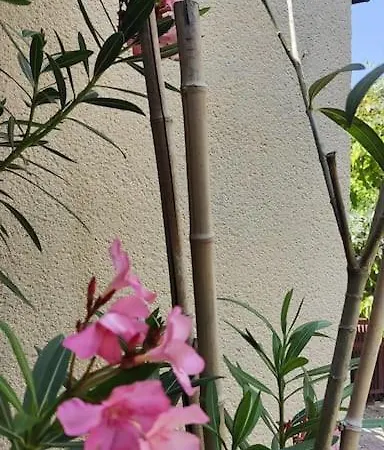 בית נופש Maison Familiale : Charme & Nature סנליס